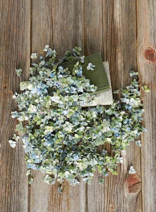 250 GRAMS BAGGED HULK BI-COLOR BLUE/GREEN HYDRANGEA PETALS